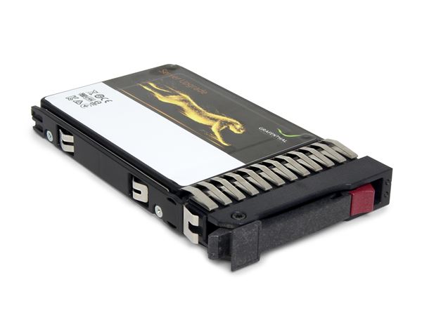 GRAFENTHAL SSD 3.84TB MU SAS 2,5'' 12GB/S DWPD 1.0 5 YEARS FOR HP STORAGES