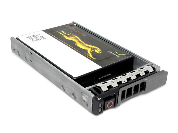 GRAFENTHAL SSD 480B MU SAS 2.5'' 12GB/S DWPD 1.0 5 YEARS FOR DELL POWEREDGE G12+G13